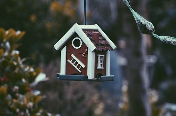 Peut-on trouver une annonce immobilière fiable dans les actualités du marché immobilier à Lyon 6 ?